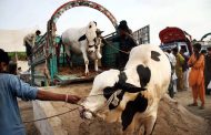 Pakistani court orders suspension of cattle export to Afghanistan
