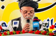 بزرگداشت از روز جهانی زنبورعسل در پکتیا