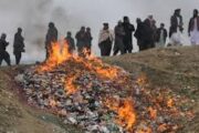 آتش زدن هزاران کیلوگرام مواد مخدر در لوگر